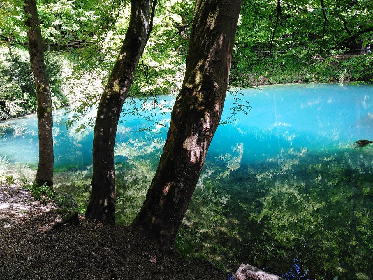 Clear water rising from a natural spring pool